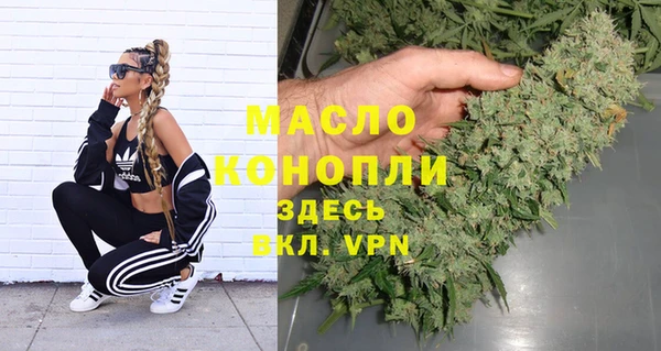 сатива Чегем