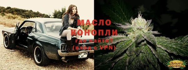 сатива Чегем