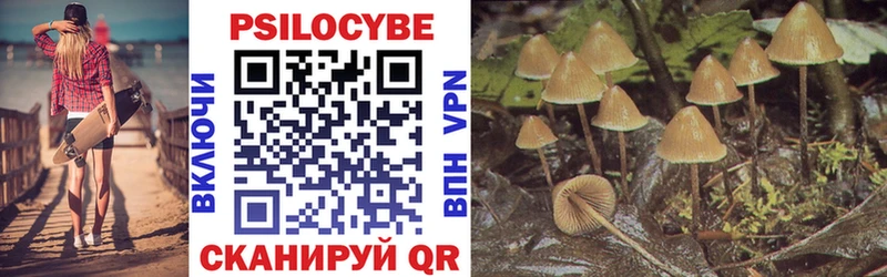 Купить закладки  Севастополь  Псилоцибиновые грибы Cubensis 